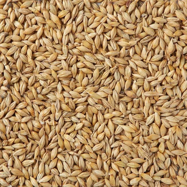 Farm Saved Seed