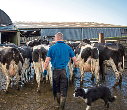 Dairy Production & Prices July ’26