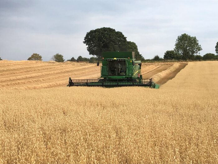 Harvest Update July 26