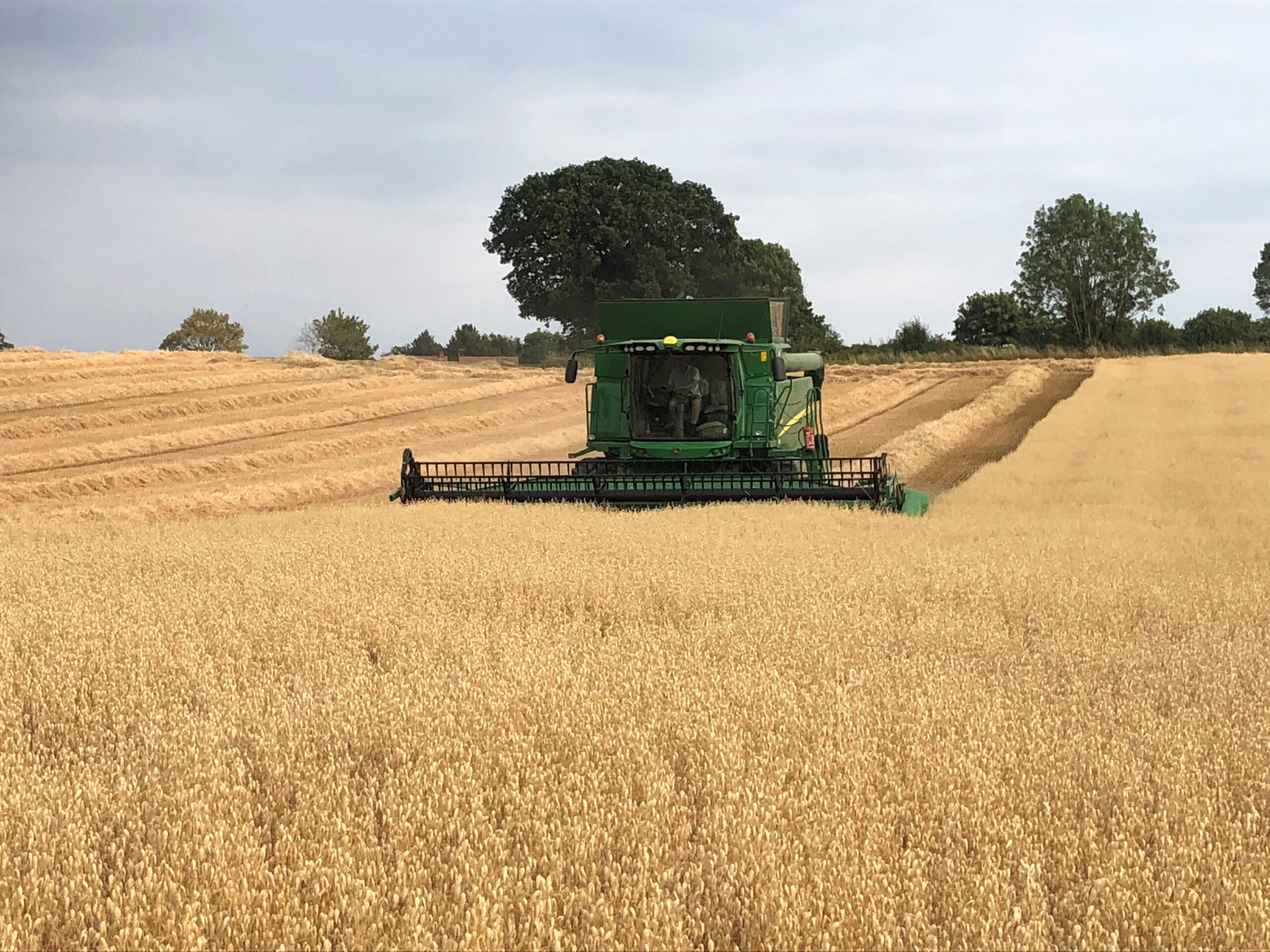 Harvest Update July 26
