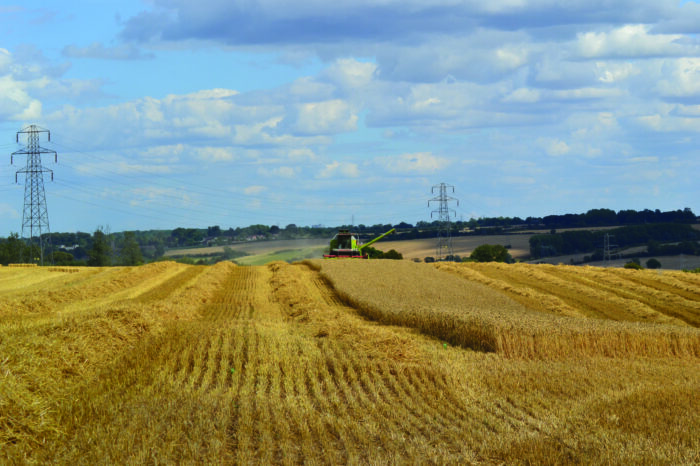 Loam Farm: Harvest 2026