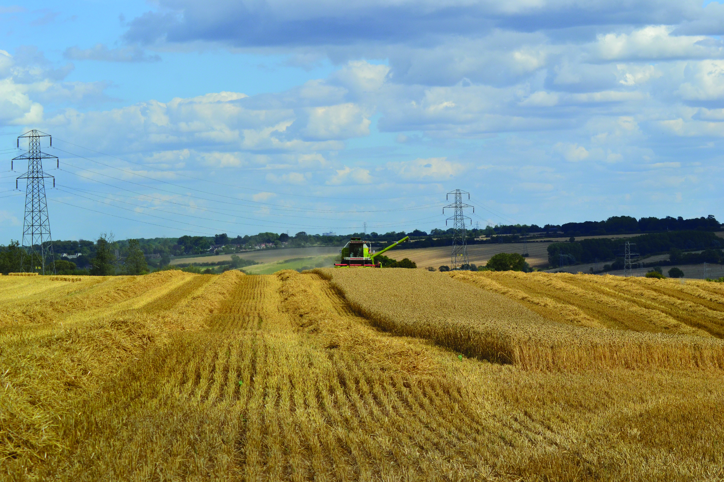 Loam Farm: Harvest 2026