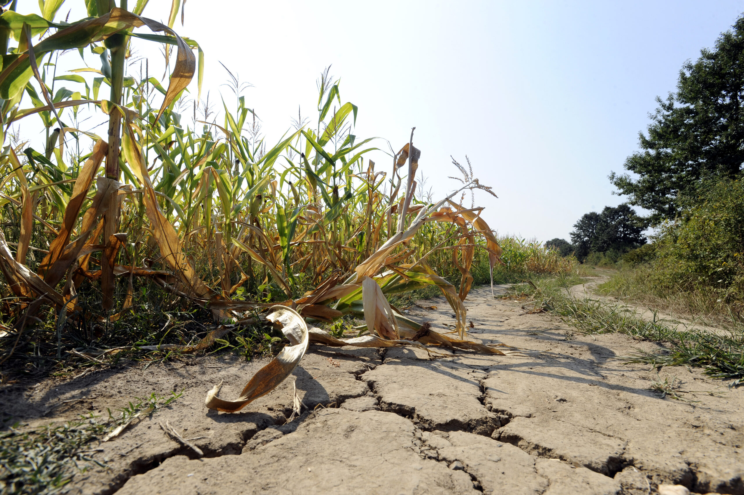 Defra Drought Package