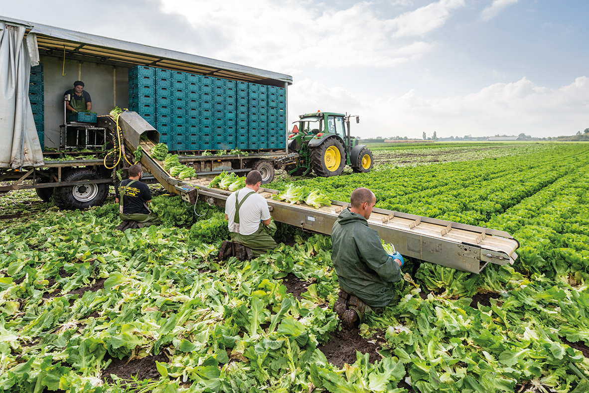 Seasonal Workers